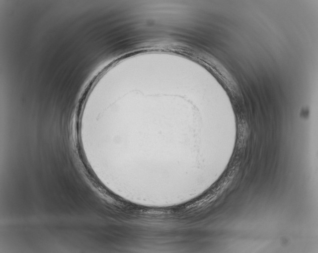 X0000116650788201001251156