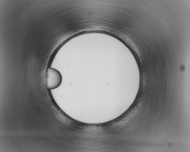 X0000116650789201001251156