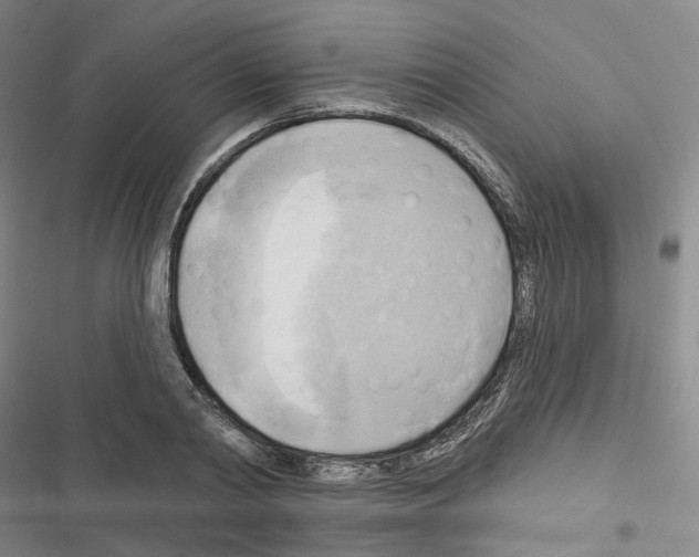 X0000116650790201001251156