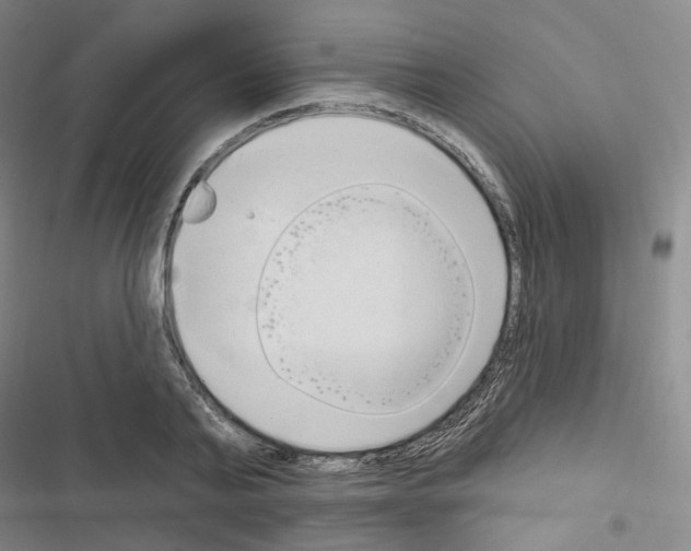 X0000116650791201001251156