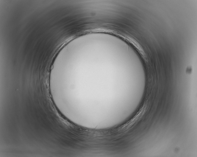 X0000116650793201001251156