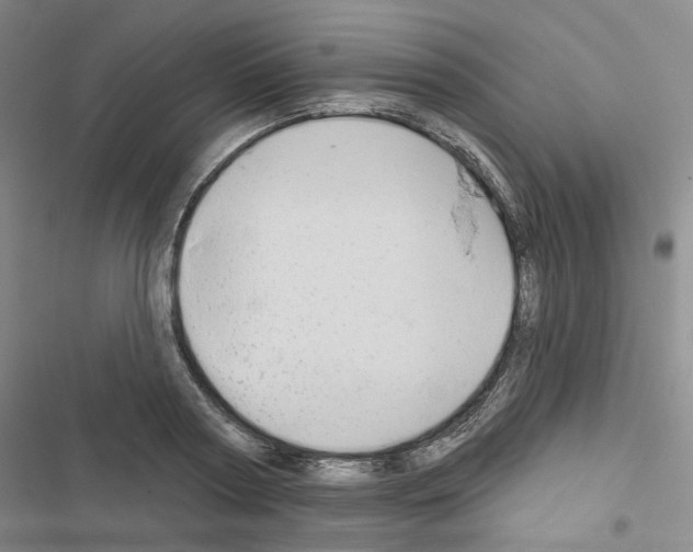 X0000116650794201001251156