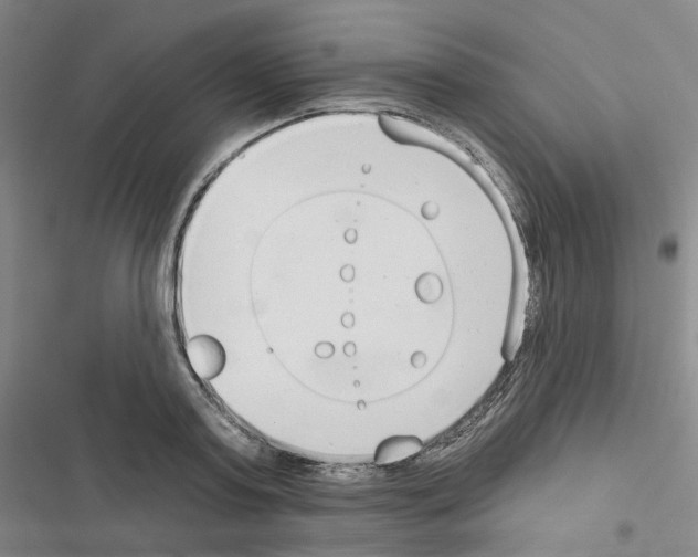 X0000116650795201001251156
