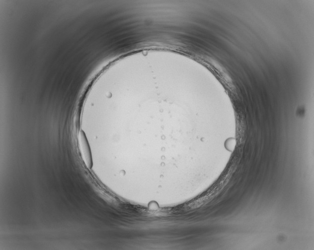 X0000116650796201001251156