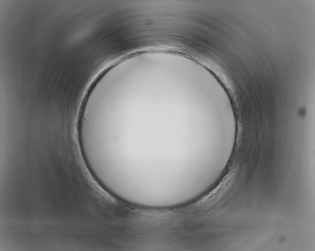 X0000116650797201001251156