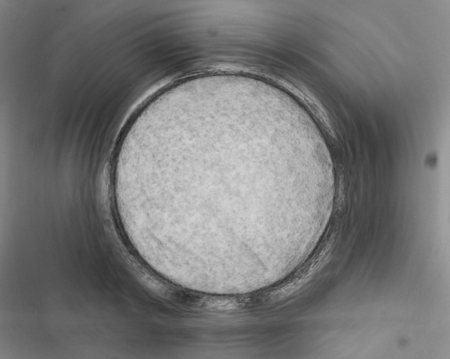 X0000116650798201001251156