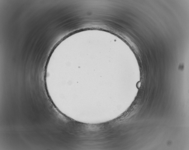 X0000116650799201001251156