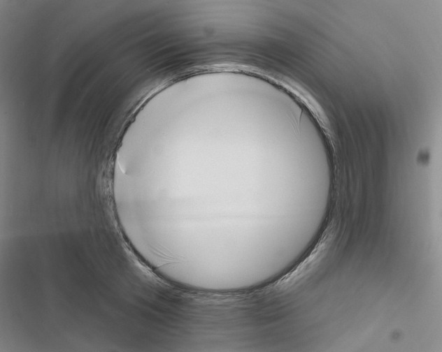 X0000116650801201001251156