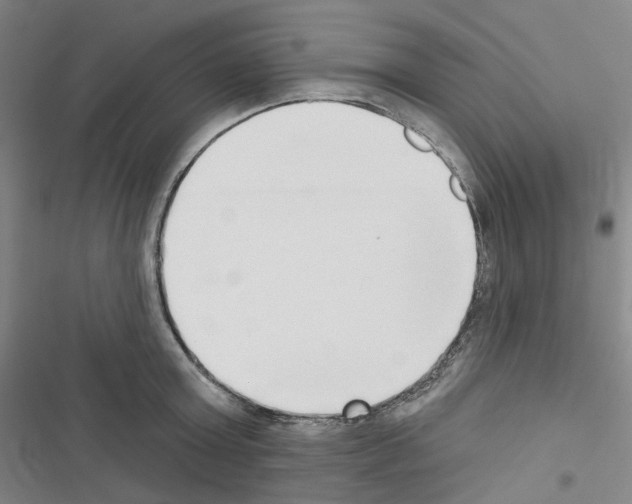X0000116650803201001251156