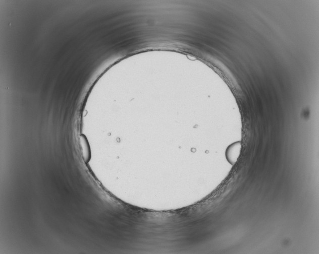 X0000116650804201001251156