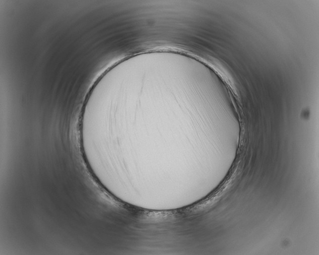 X0000116650806201001251155