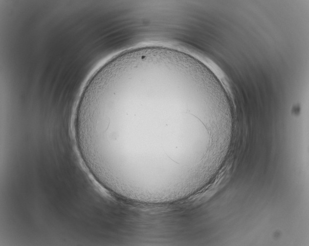 X0000116650807201001251155