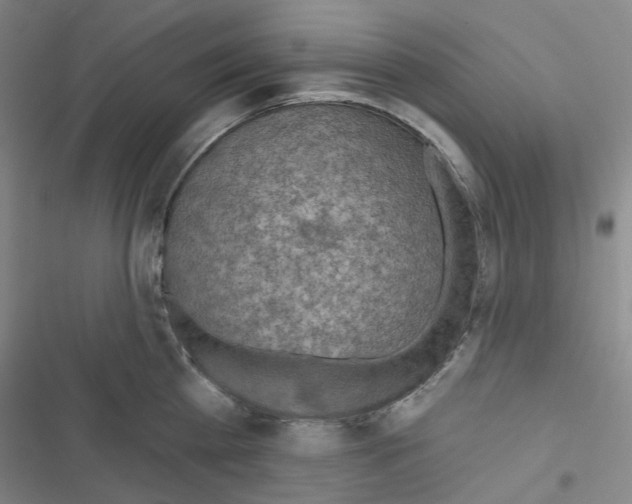 X0000116650809201001251155