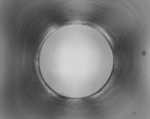 X0000116650810201001251155