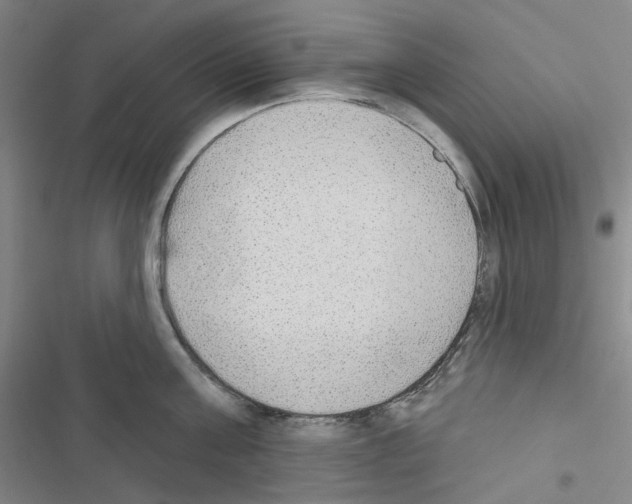 X0000116650811201001251155