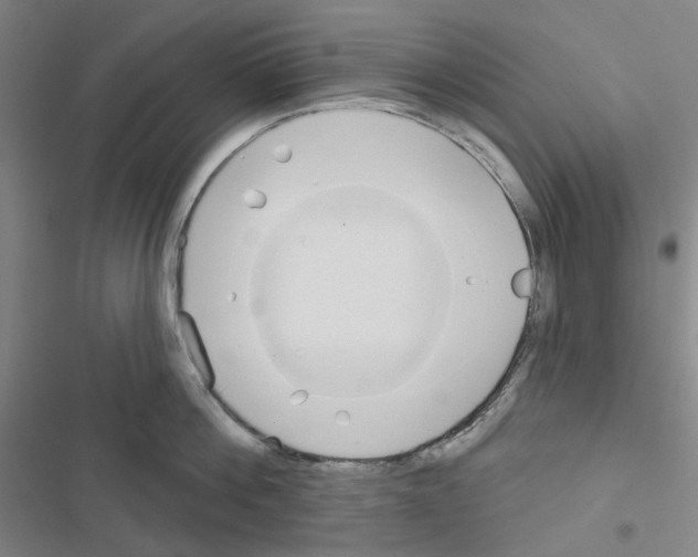 X0000116650812201001251155