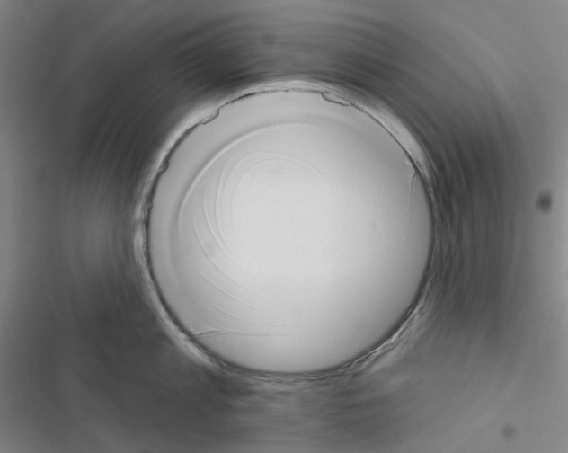 X0000116650813201001251155