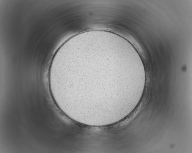 X0000116650814201001251155