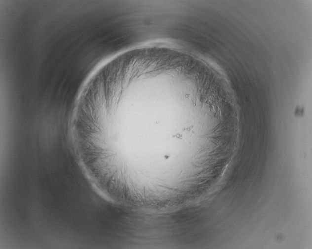 X0000116650816201001251155