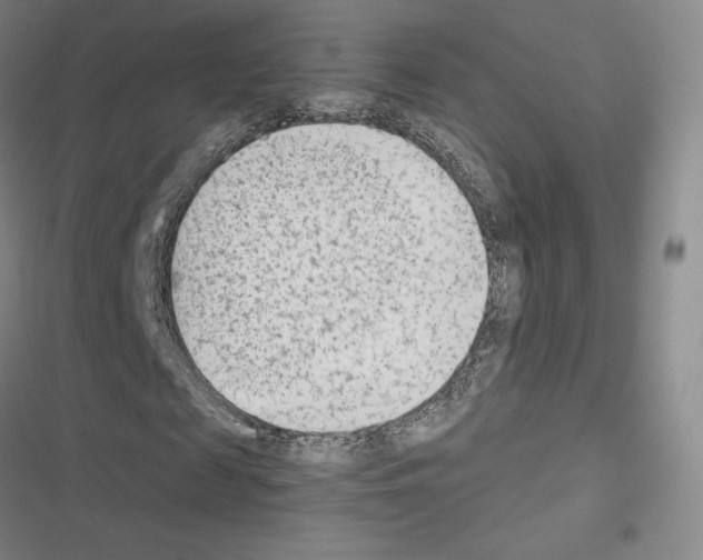 X0000116650817201001251155