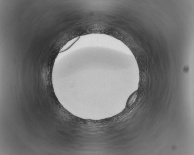 X0000116650818201001251155