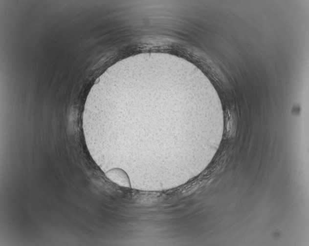 X0000116650819201001251155