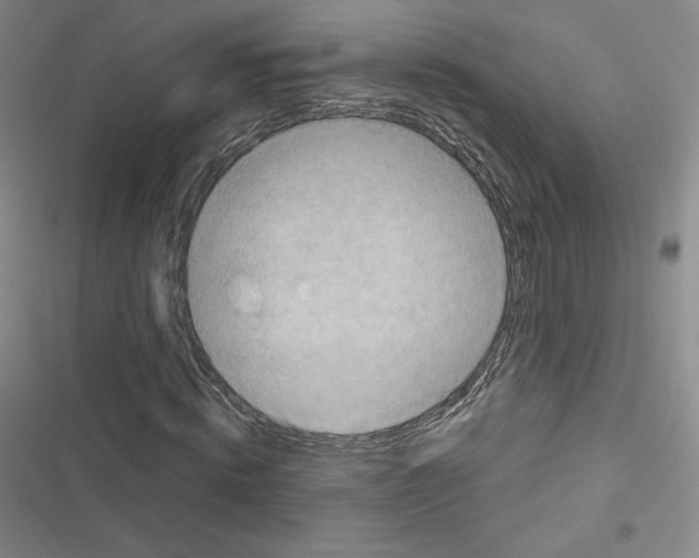 X0000116650820201001251155