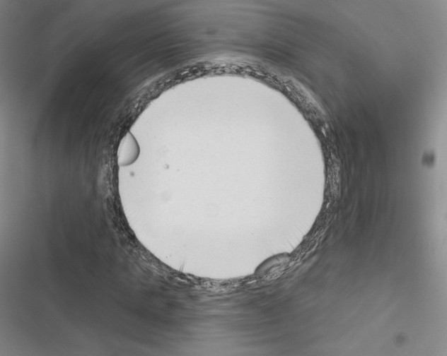X0000116650821201001251155