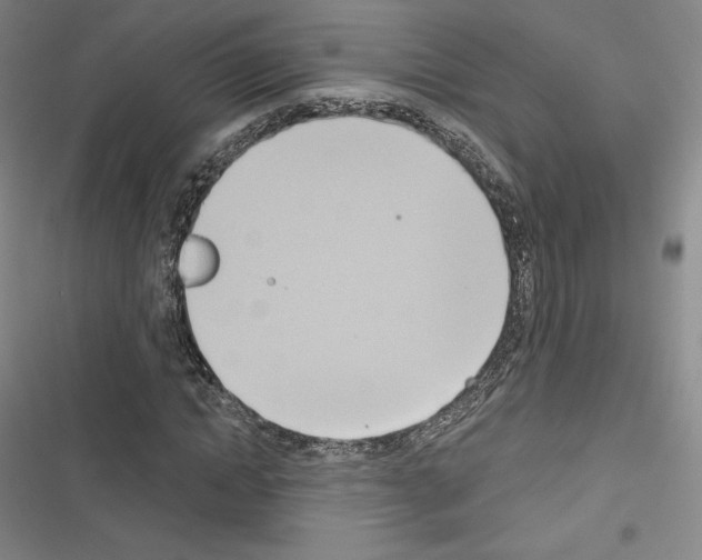X0000116650822201001251155