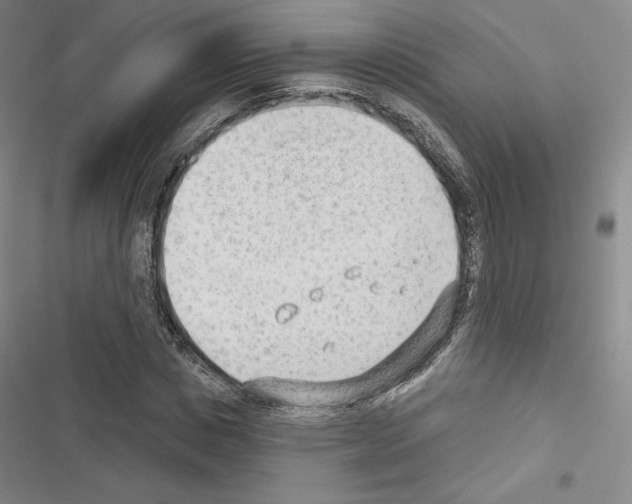X0000116650825201001251155