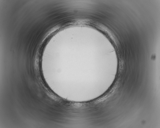 X0000116650827201001251155