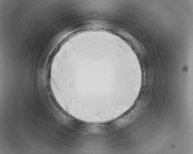 X0000116650828201001251155