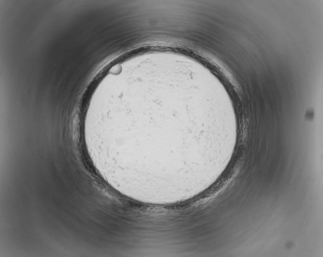 X0000116650829201001251155