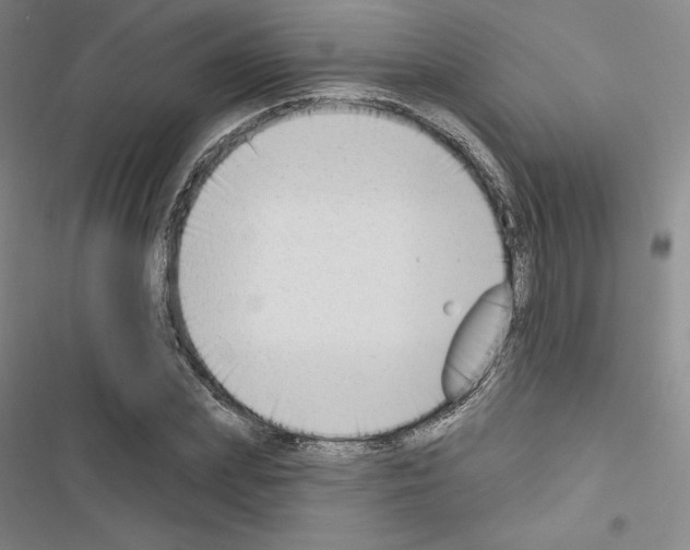 X0000116650831201001251155