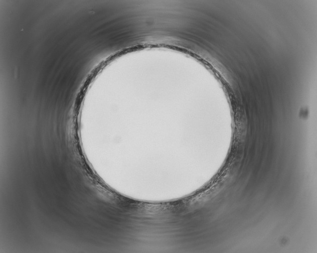 X0000116650832201001251155