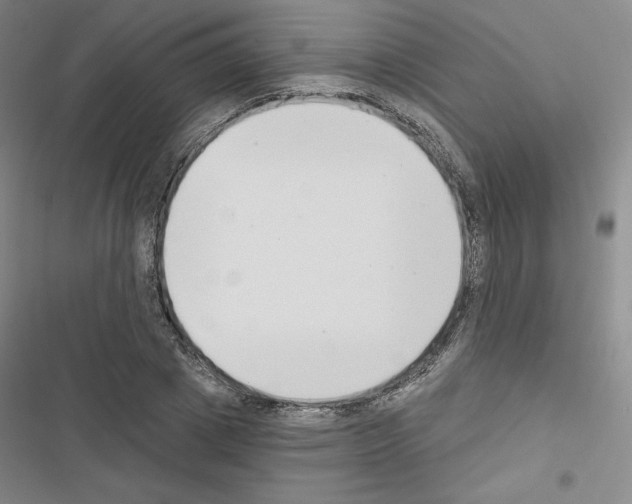 X0000116650833201001251155