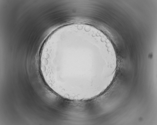 X0000116650836201001251155