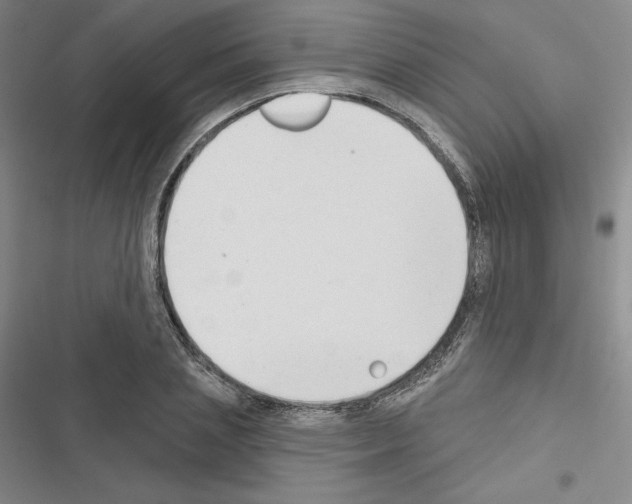 X0000116650837201001251155