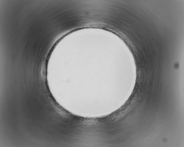 X0000116650838201001251155