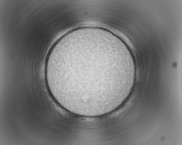 X0000116650839201001251155