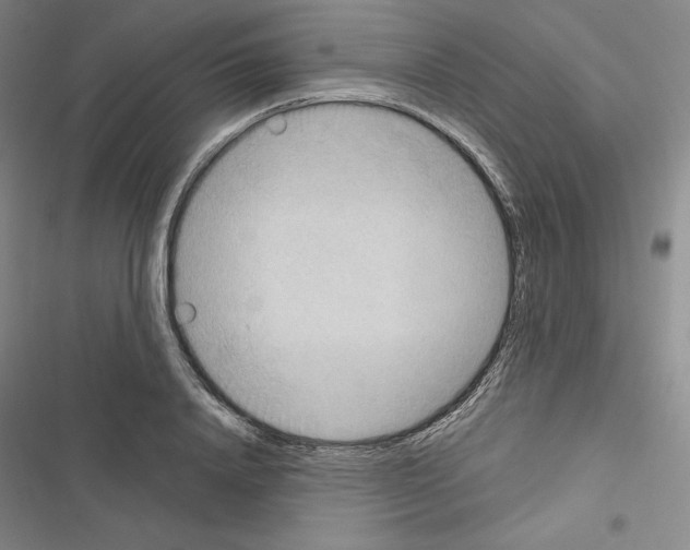 X0000116650840201001251155