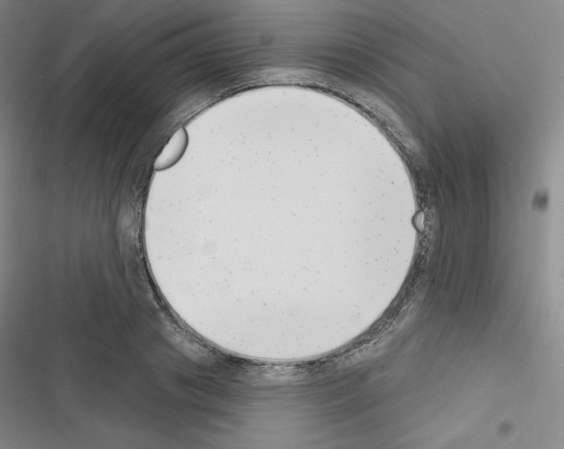 X0000116650841201001251155