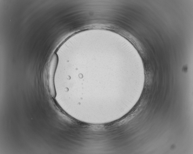 X0000116650844201001251155
