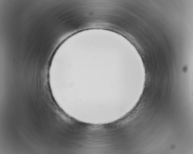 X0000116650846201001251155