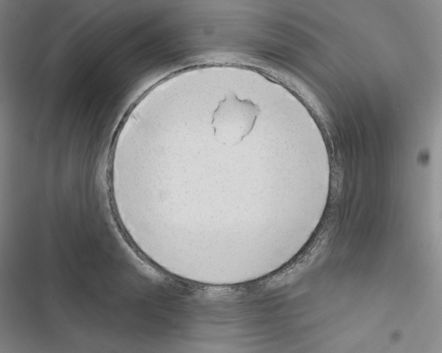 X0000116650847201001251155