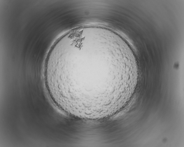 X0000116650848201001251155