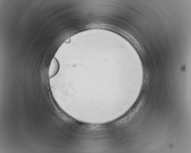 X0000116650849201001251155