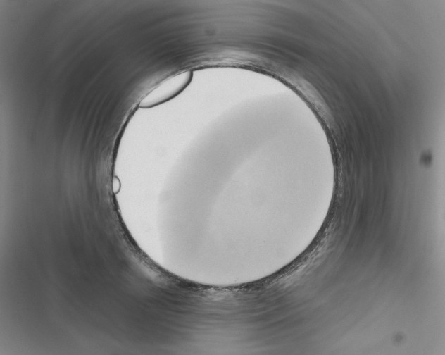 X0000116650850201001251155
