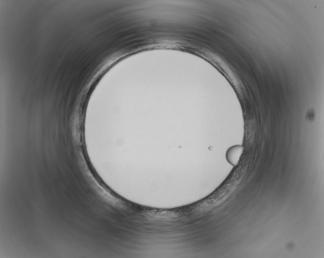 X0000116650851201001251155