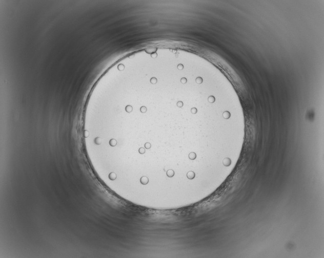 X0000116650852201001251155